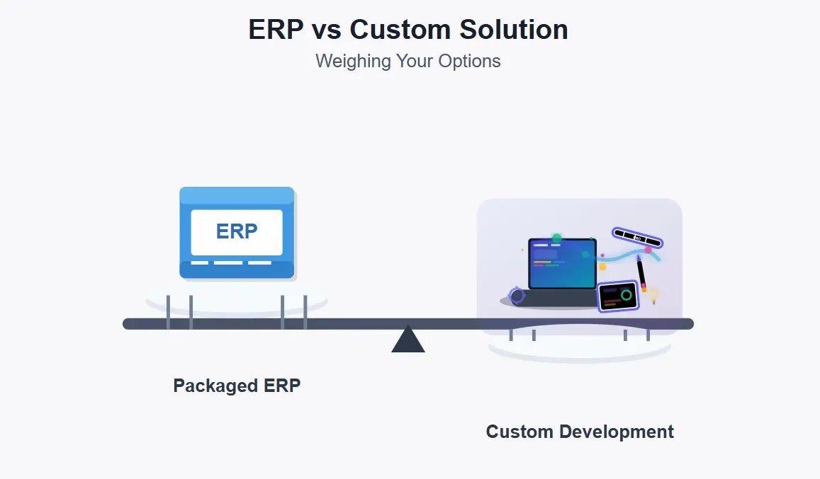 ERP vs Custom Software